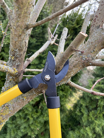 Sekator dwuręczny VX2 MAMUTH