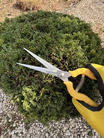 Sekator ogrodniczy V400 MAMUTH