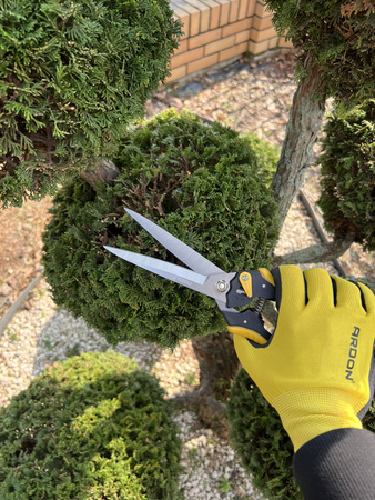 Sekator ogrodniczy V100 MAMUTH