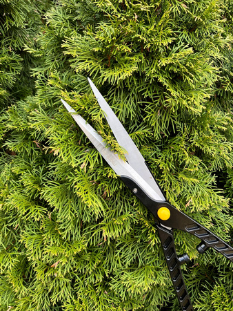 Nożyce do formowania żywopłotu VR1000 MAMUTH