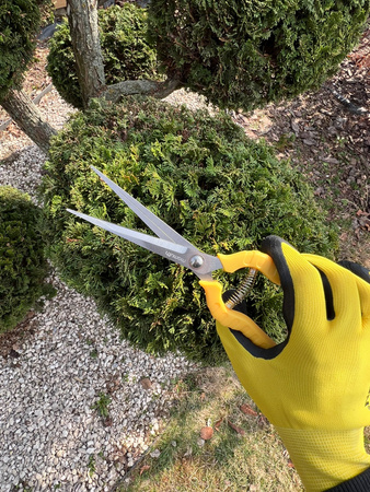 Sekator ogrodniczy V400 MAMUTH