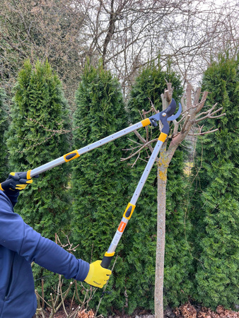 Teleskop Astschere Baumschere Gartenschere Astschneide Gartenschere MAMUTH