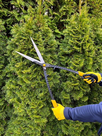 Nożyce do formowania żywopłotu VR1000 MAMUTH