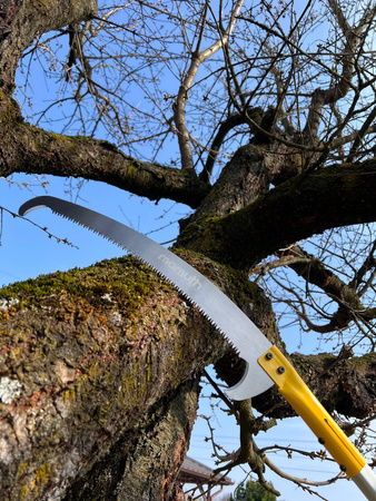 Piła ogrodnicza na wysięgniku 5,5m Z550 MAMUTH