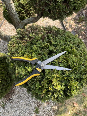 Sekator ogrodniczy V100 MAMUTH