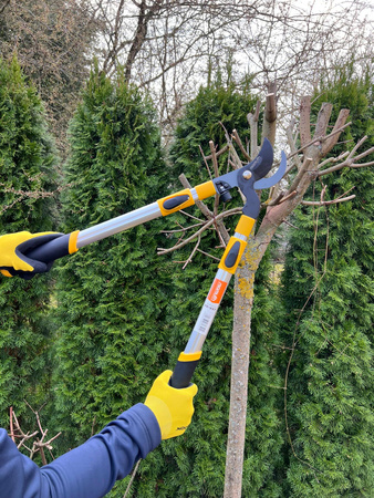 Teleskop Astschere Baumschere Gartenschere Astschneide Gartenschere MAMUTH
