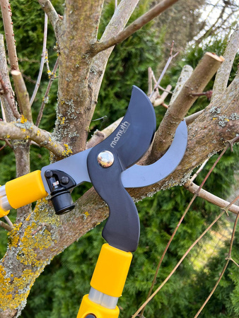 Teleskop Astschere Baumschere Gartenschere Astschneide Gartenschere MAMUTH